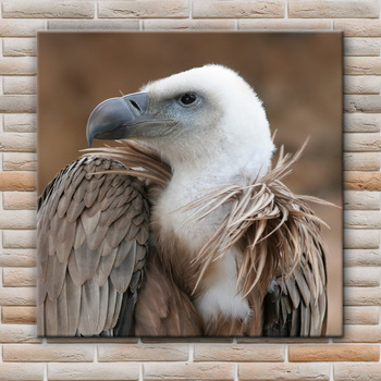 350x350 Famous Animal Picture Flying Eagle Painting For Reasurant - Flying Eagle Painting