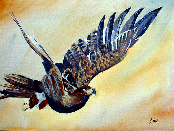 600x450 Flying Eagle Painting By John Cox - Flying Eagle Painting