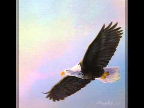 480x360 The Bald Eagle - Flying Eagle Painting