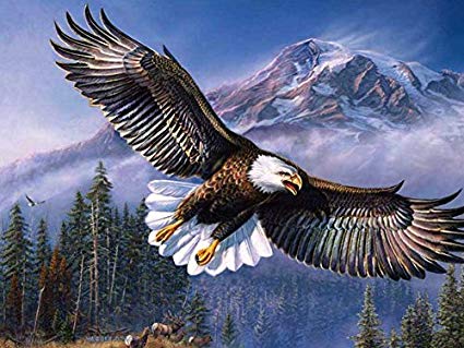 425x319 Flying Eagle Oil Painting On Canvas Modern Wall Art - Flying Eagle Painting