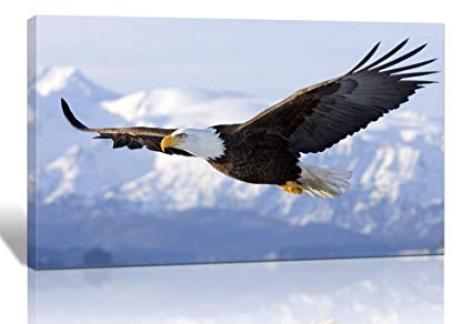 Flying Eagle Painting at PaintingValley.com | Explore collection of ...