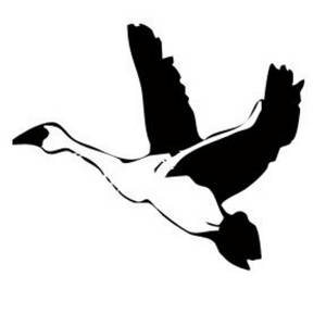 300x300 Free Clipart Picture Of A Goose In Flight - Flying Geese Painting