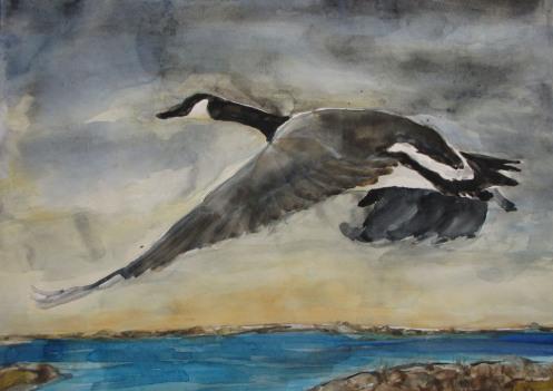 497x351 Geese In Flight And Fears At Night - Flying Geese Painting