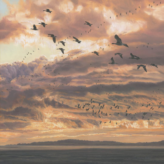 540x540 Goose Pictures - Flying Geese Painting