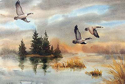 400x268 Pine Island Flight Watercolor Painting By Nita Leland - Flying Geese Painting