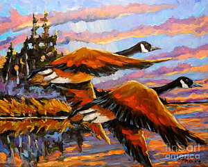 300x240 Canadian Geese Paintings Fine Art America - Flying Geese Painting