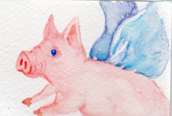 570x384 Pig Art Original Aceo Flying Pig Painting Watercolor Flying Pig - Flying Pig Painting