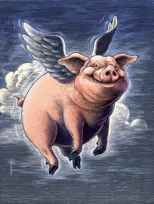 500x660 Pigsmayfly - Flying Pig Painting