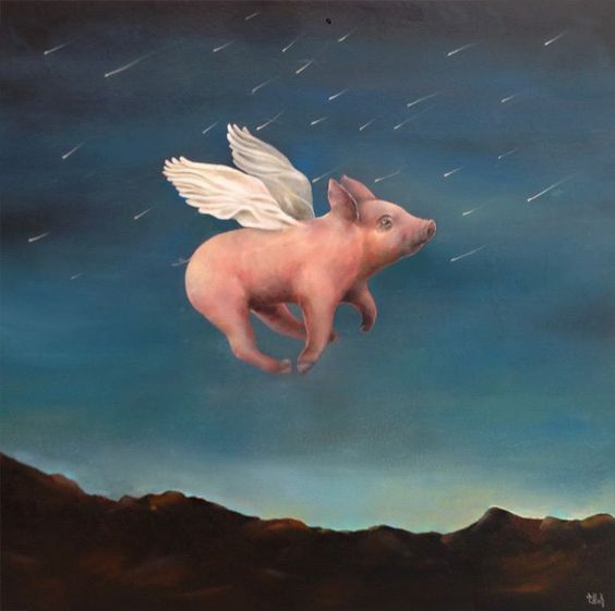 564x561 Volando Bajo La Lluvia Baby Girl Pig Art - Flying Pig Painting