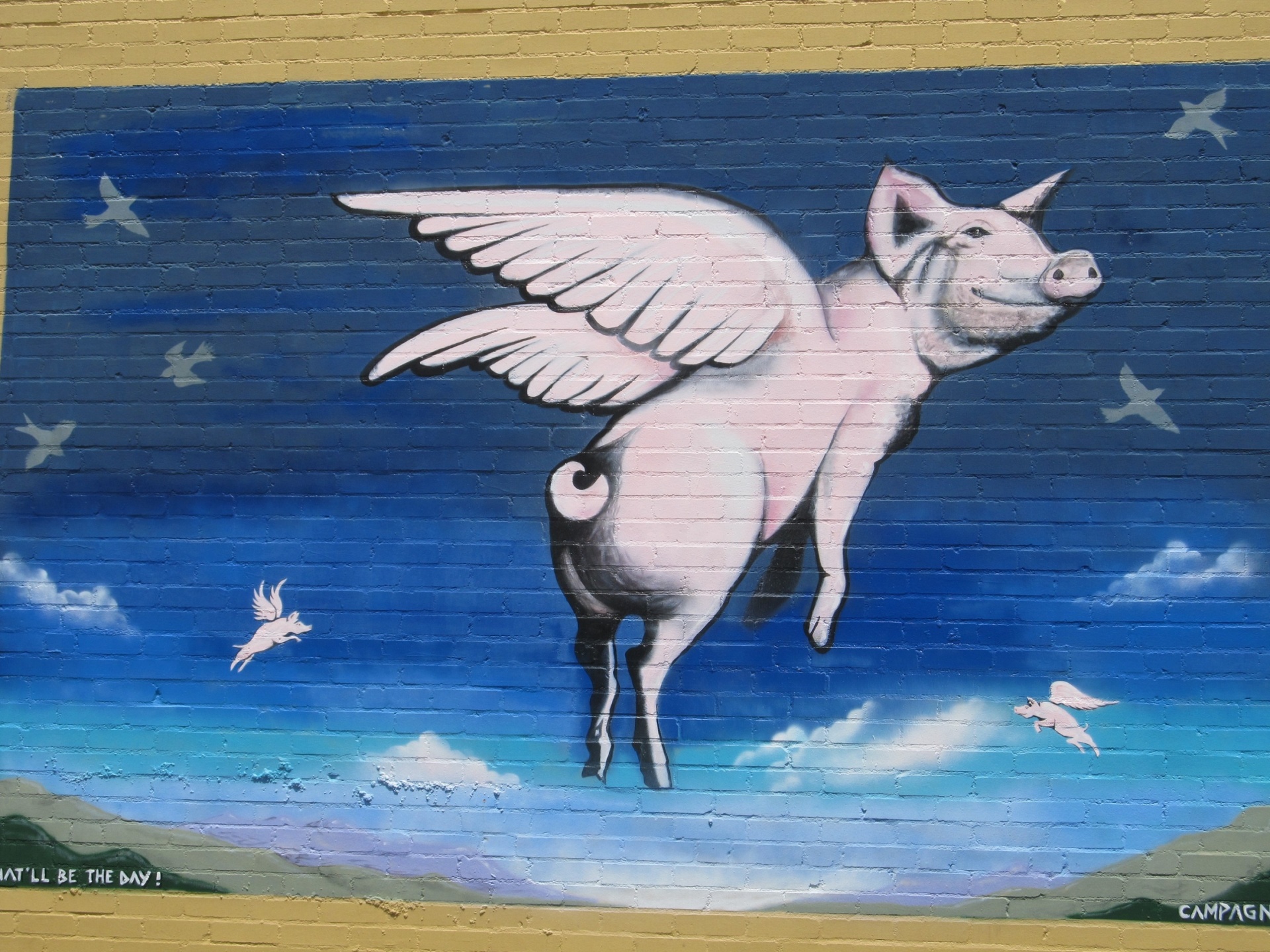 1920x1440 When Pigs Fly Street Artwork Free Stock Photo - Flying Pig Painting