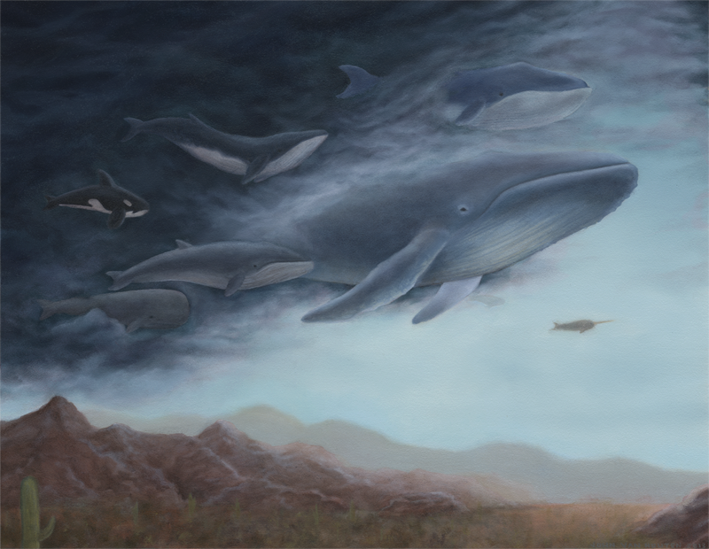 800x620 Flying Whales - Flying Whale Painting