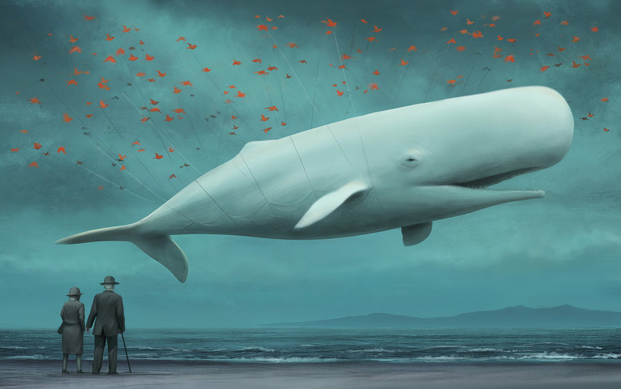 900x563 Fail Whale By Ka 92 - Flying Whale Painting