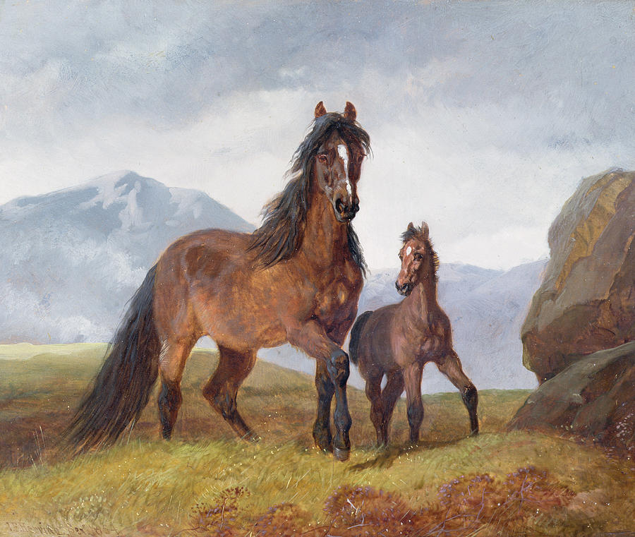 Foal Painting