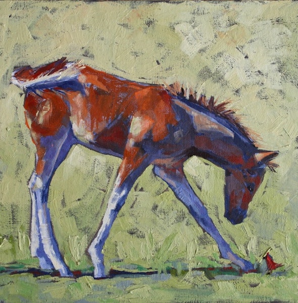 590x600 How Old Are You Foal Oil Painting By Debbie Grayson Lincoln By - Foal Painting