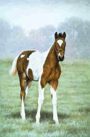 366x556 Paint Foal - Foal Painting
