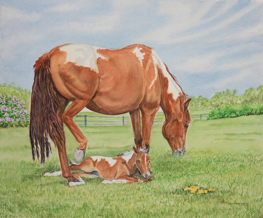 900x747 Paint Horse Mare And Foal Painting By Heather Anderson - Foal Painting