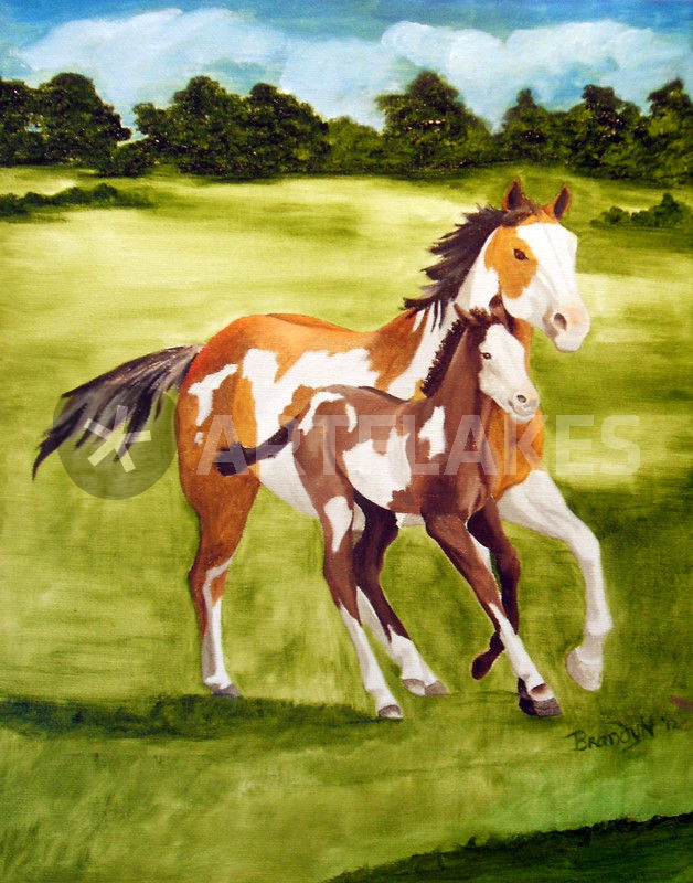 628x800 Paint Mare And Foal Painting Art Prints And Posters By Brandy - Foal Painting