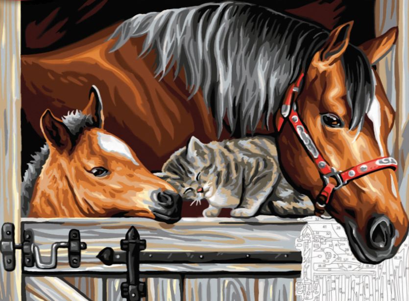 835x615 Painting By Numbers Horse, Foal And Kitten In Stables Paint Set - Foal Painting