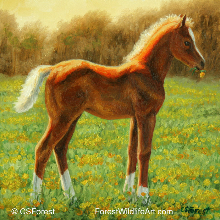 700x700 Crista Forest's Animals Amp Art Foal In Flowers Painting - Foal Painting