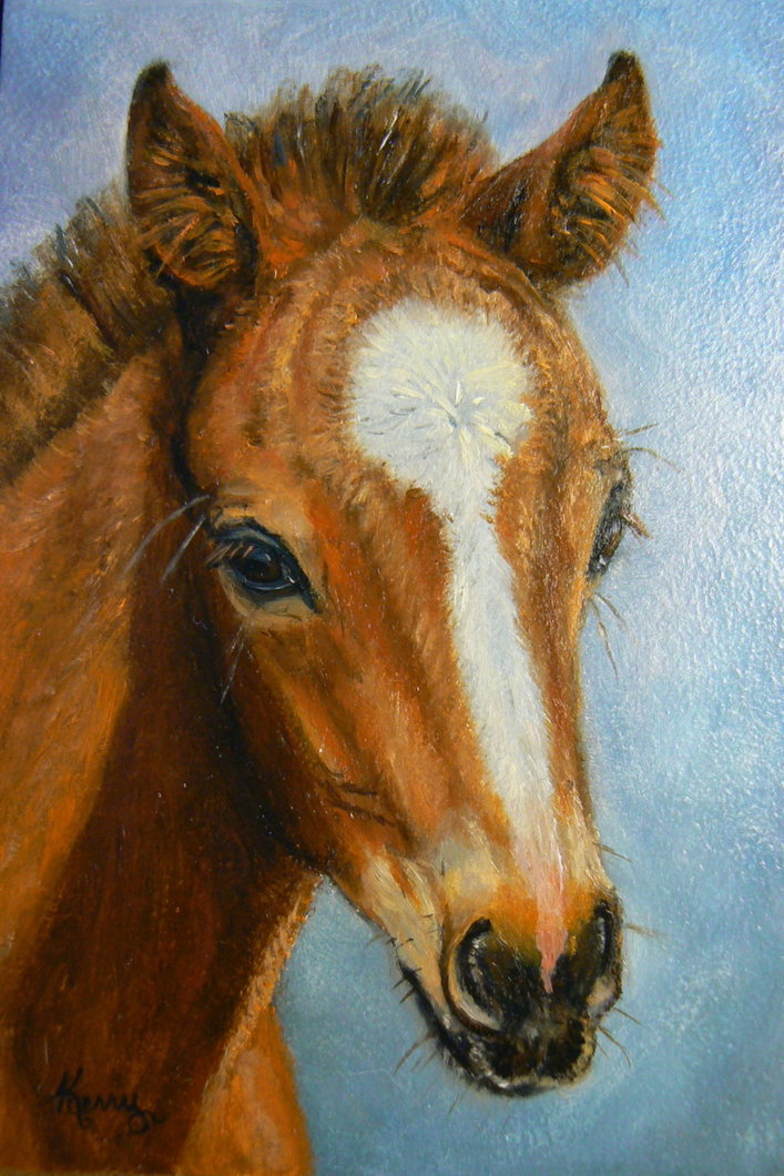 707x1060 Cute Foal Oil Painting By Kerryoriginals - Foal Painting