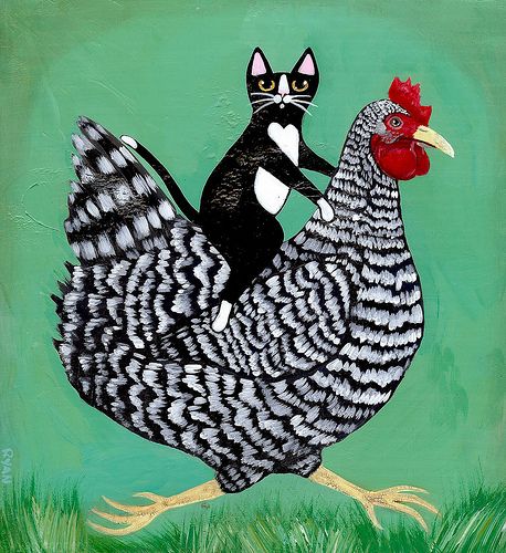 458x500 Cat Chicken Ride Cat, Galleries And Naive Art - Folk Art Chicken Painting