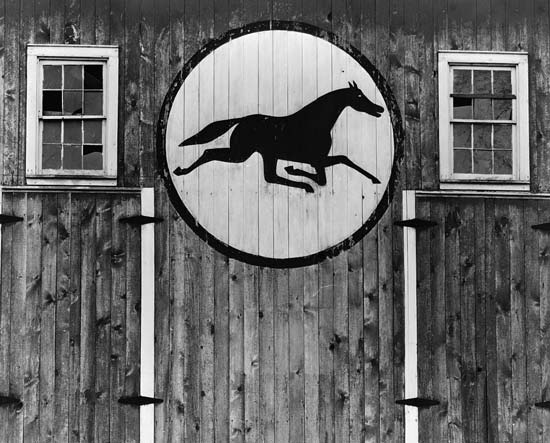 550x443 Amish Horse Painting - Folk Art Horse Painting