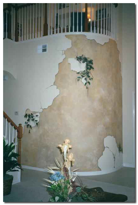 446x660 Trompe L'Oeil Trompe L'Oeil By Art Effects - Fool The Eye Painting