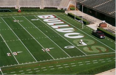 370x239 Field Marking Paint Extra Brighteners Night Time Brightness Reflective - Football Field Painting