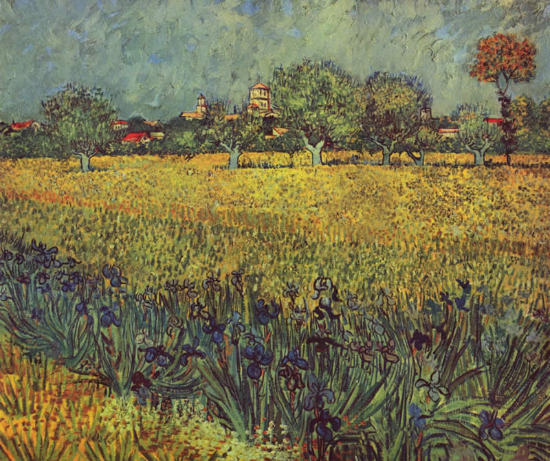 800x671 Vincent Van Gogh View Of Arles With Irises In The Foreground - Foreground Painting