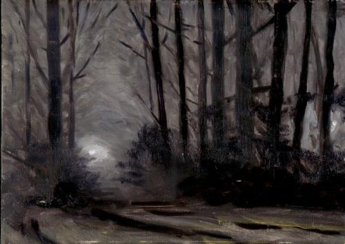 500x354 Night Forest - Forest At Night Painting
