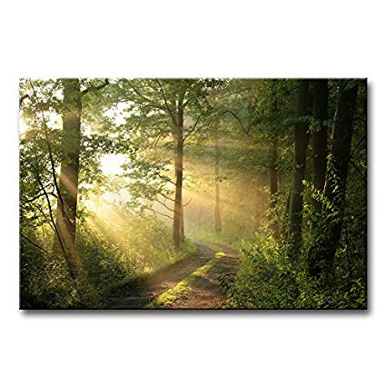 425x425 Modern Canvas Painting Wall Art The Picture For Home - Forest Canvas Painting