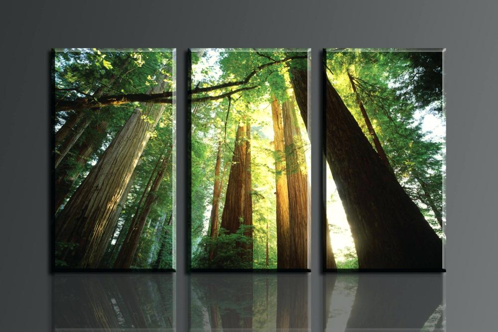 1000x667 Forest Canvas Art - Forest Canvas Painting