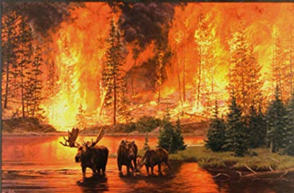 425x279 Legacy Jim Tschetter 30x20 Inche Lithograph Art Print - Forest Fire Painting