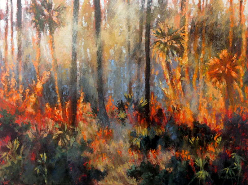800x597 Florida Forest Fire - Forest Fire Painting