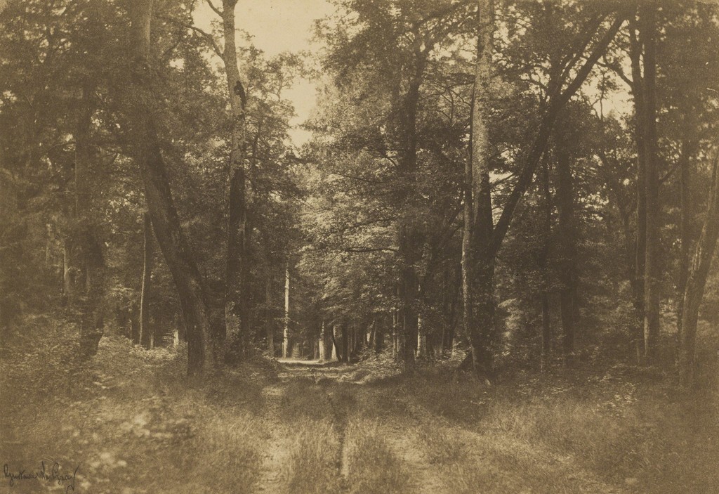 1024x703 Gustave Le Gray Bas Forest Of Fontainebleau (1849 1852 - Forest Of Fontainebleau Painting