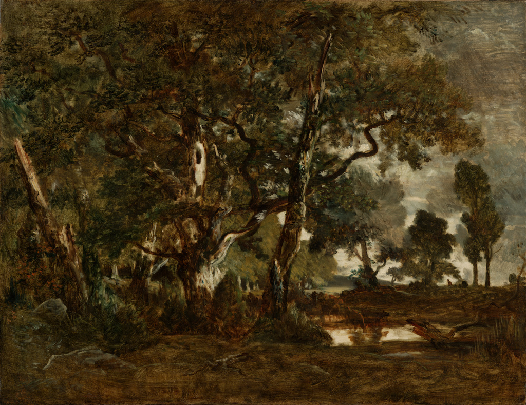 1024x789 Forest Of Fontainebleau, Cluster Of Tall Trees Overlooking - Forest Of Fontainebleau Painting