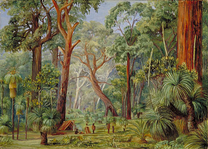 420x301 Kew Marianne North Gallery Painting 741 Scene In A West - Forest Scene Painting