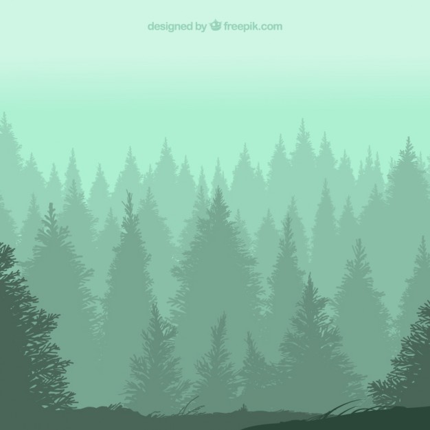 626x626 Forest Vectors, Photos And Psd Files Free Download - Forest Silhouette Painting