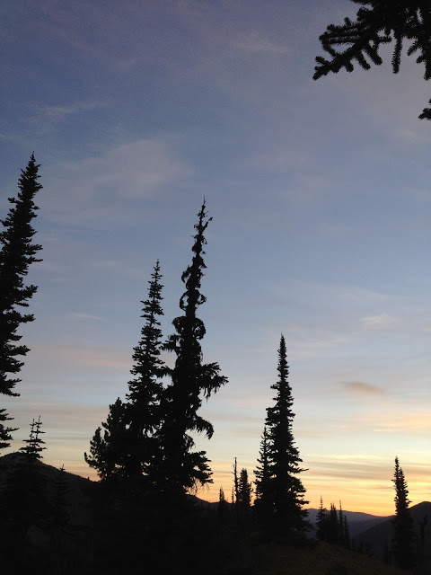 480x640 The Helpful Art Teacher Paint The Sky Silhouettes And Sunsets - Forest Silhouette Painting