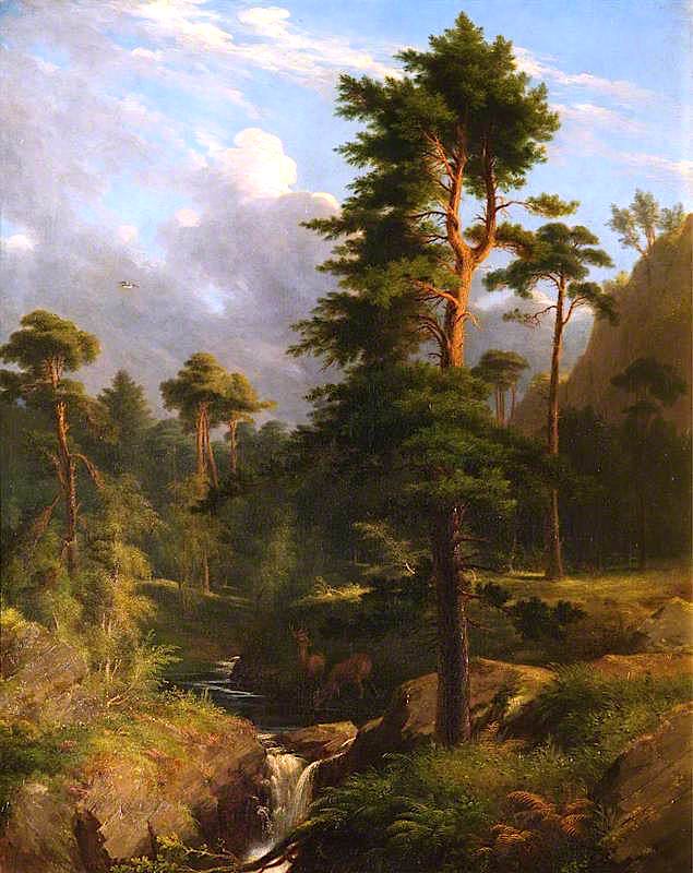 635x800 Deer Drinking - Forest Stream Painting