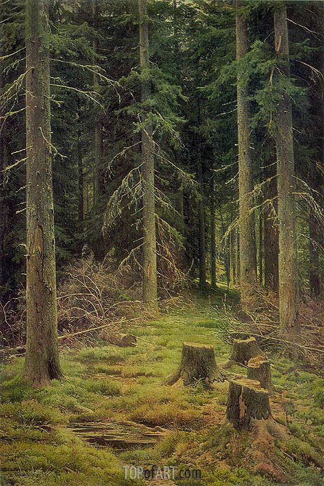463x693 Fir Tree Forest Ivan Shishkin Painting Reproduction 1664 - Forest Trees Painting