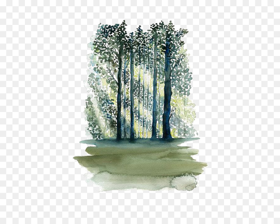 900x720 Watercolor Painting Paper Tree Forest - Forest Watercolor Painting