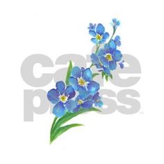 236x236 Flower Watercolor Painting - Forget Me Not Flower Painting