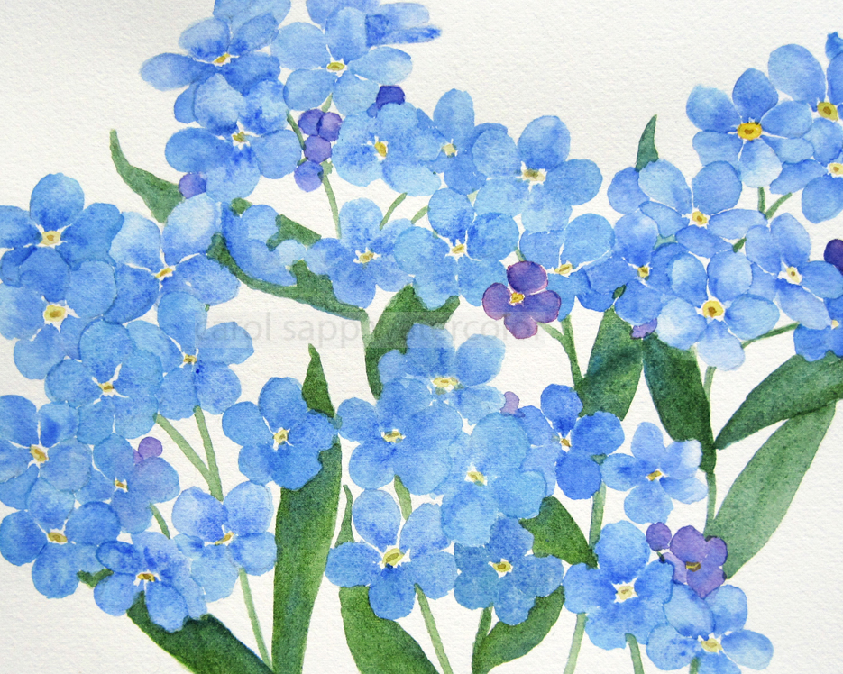 935x748 My Painting Room Forget Me Nots Print - Forget Me Not Painting