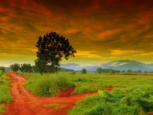 500x376 Life's Fork In The Road Steven Connelly - Fork In The Road Painting