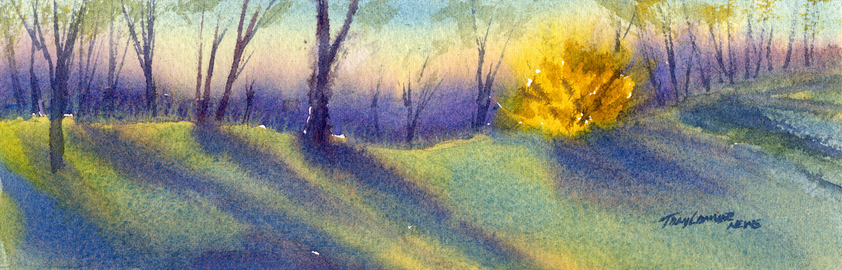 1200x385 Forsythia Archival Limited Edition Art Print Vermont - Forsythia Painting