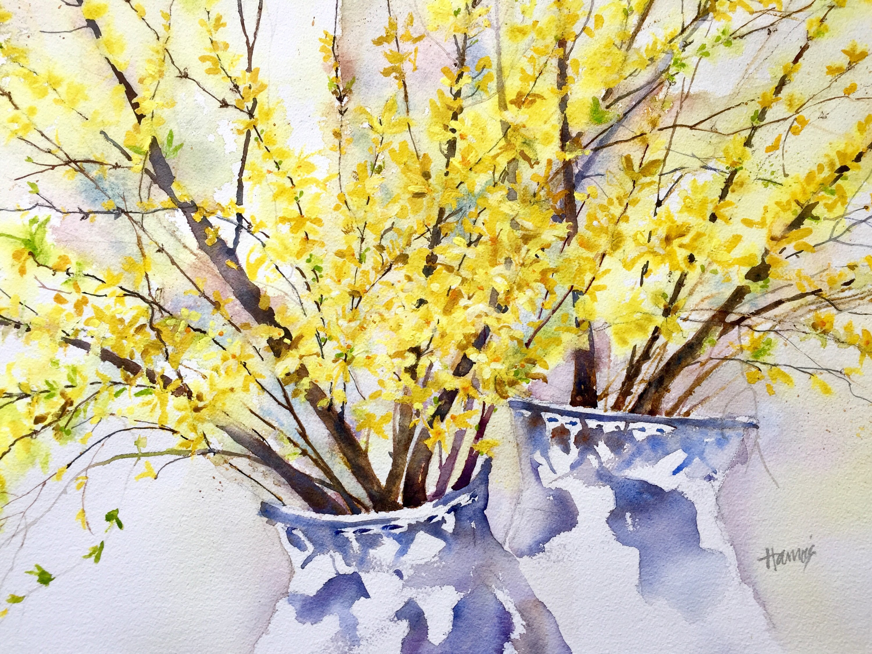 3000x2250 New Art Forsythia Art Watercolor Art Print Flower Art - Forsythia Painting