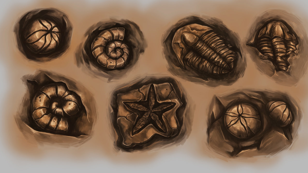 1191x670 Fossil Painting By Silver Fate - Fossil Painting