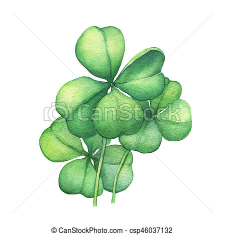 450x469 Green Four Leaf Clover. Hand Drawn Watercolor Painting On White - Four Leaf Clover Painting