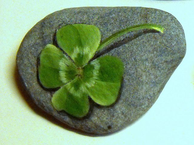640x479 Happy Rocks Leaf Clover, Leaves And Rock - Four Leaf Clover Painting
